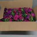 Dolicer 4 Packs Look Real Artificial Flowers for Outdoors, Fake Artificial Hanging Flowers for Outdoors Realistic UV Resistant Hanging Flowers Silk Petunia Faux Flowers for Porch Patio(Purple+Fuchsia)
