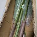 4FT Artificial Bird of Paradise Plant, Lifelike Faux Tropical Tree with 10 Lush Banana Leaves, Tall Artificial Plants Indoor for Living Room Bedroom Decor, Black Pot(4FT)