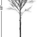 National Tree Company Artificial Tree Decoration, Black, Leafless, Includes Stand, Halloween Collection, 68 Inches
