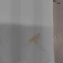 SANTINY Women's Sleeveless Workout Tops Lightweight Tennis Yoga Athletic Running Shirts Racerback Tank Tops for Women (Sky Blue_S)