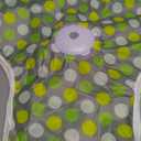 Interactive Cat Toys Rechargeable,Moving Concealed Feathers,Real Mouse Squeaky,Touch Activated Cat Kitten Toy Exercise Toys for Indoor Bored Adult Cats (green)