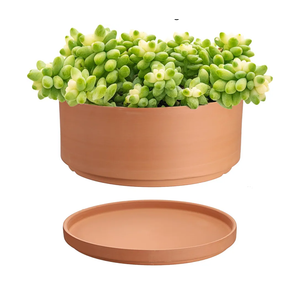 10 Inch Terracotta Shallow Pot with Holes and Saucers, Round Cylinder Succulent Planter Clay Flower Pots for Indoor and Outdoor Use, Decorative Bonsai Succulent for Mini Foliage Plants Orchids