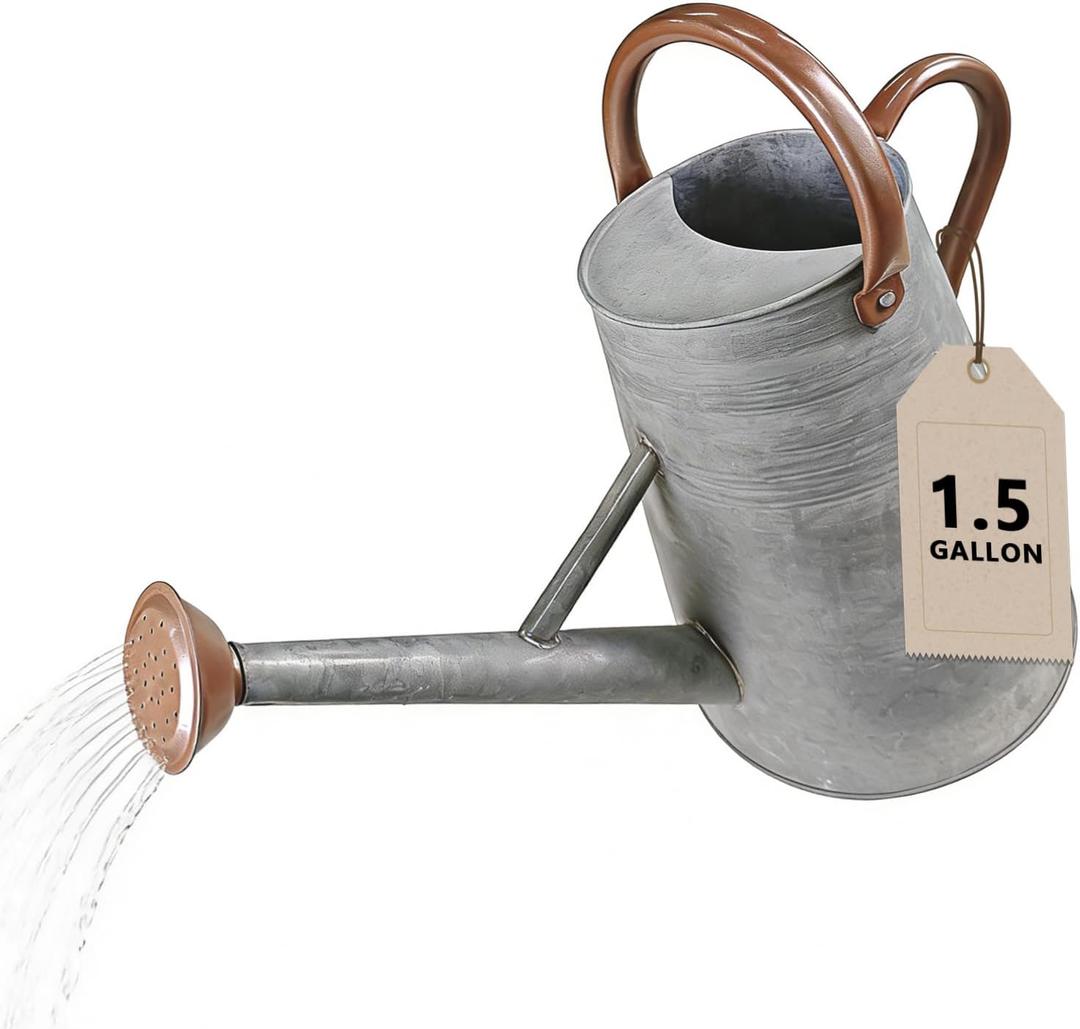 Watering Can for Outdoor&Indoor Plants1.5 Gallon5.7L Metal Watering Can with with Removable SpoutLarge Galvanized Steel Garden Flower Water Can Watering Pot with 2 HandlesRustic Silver