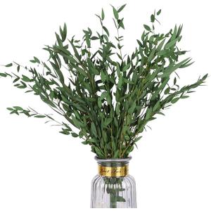 Real Eucalyptus Stems Greenery Decor 20PCS 17" Dried Willow Eucalyptus Plant Preserved Greenery Stems for Home Vase Filler Wedding Flowers Arrangement Spring Decorations (Green-fine Willow)