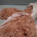 MorroMorn Decorative Pillows Covers, 2 Packs Faux Fur Pillow Cases, Luxury Shaggy Throw Pillowcase Cushion Shams with Zipper Closure Room Decor for Couch Sofa Bed (Blush, King/California King)