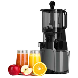 Cold Press Juicer, , 220W Slow Masticating Juicer Machine (Grey)