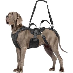 Dog Lift Harness, Dog Support & Recovery Sling for Full-Body & Hind/Front Leg Pee-Able Design for Large/Medium Dogs All-in-One Ideal Assistance for Senior, Disabled, Arthritic & ACL Canines (L)