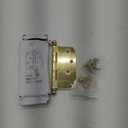 Nostalgic Warehouse Ball-Tip Residential Door Hinge with Square Corners (4 Inch, Polished Brass)
