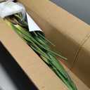 Artificial Bird of Paradise - Fake Plants Indoor Faux Tropical Palm Potted Dypsis Lutescens for Home Office Decor Housewarming