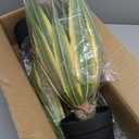 Artificial Agave Plants Outdoor, 24 Large UV Resistant Fake Agave with 24 Lifelike Leaves, Faux Succulents Plant for Home Front Porch Patio Garden Yard Indoor Decor 2Pack