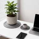 Plant Saucer for Indoors, 2 Pack 10 Inch, Instantly Dry Diatomaceous Earth Plant Trays, Stone Plant Pot Saucers Drip & Drainage Tray, Gray