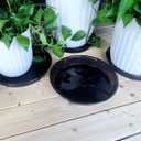 Plant Saucer 10 Inch 6 Pack, Plant Trays for Pots Heavy Duty Round Plastic Plant Saucers for Indoors Outdoors, Flower Pot Drip Trays, Plant Water Catcher Tray,Clear Black Flower Plant Pot Saucer