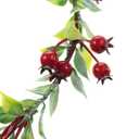 Bubbmi Flower Crown Headband with Red Berry, Elf Fairy Cosplay Forehead Headpiece with for Wedding Festival Masquerade Party Women Girls (FC1587hongguonew)