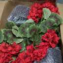 lovemoon 2 Pcs Geranium Potted Artificial Flowers, 19" Fake Geraniums Plants UV Resistant Silk Potted Plants for Outdoor Home Décor Office Porch Garden Decor (2, Red)