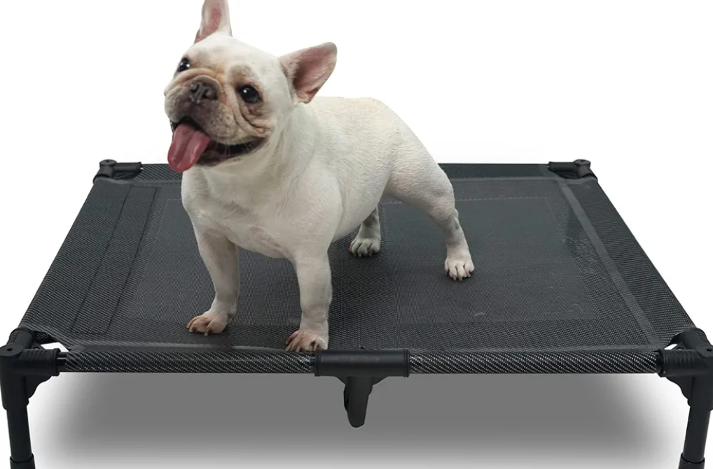 pettycare Elevated Outdoor Dog Bed - Dog Cots for Small Pet, Heavy Duty Raised Cot Waterproof, Cooling Pets Bed with Washable Durable Teslin Mesh and Non Slip Feet, 28 Inches, Grey