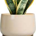G EPGardening Ceramic Planter - 7 Inch Plant Pots with Drainage and Ceramic Tray, Flower Pots for Indoor Plants, Round Outdoor Planter, Room Decor, Gifts for Plant Lovers, Beige