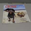 Willow Creek Press, Crusoe the Celebrity Dachshund 2026 Wall Calendar, 12'' X 12'', 18-Month Calendar with Stapled Binding