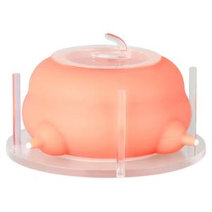 Puppy Feeder for Multiple Puppies, Pet Milk Feeder with Silicone Dog Nursing Station of 4, Puppy Milk Replacer for Puppies/Kittens