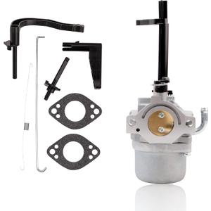 Carburetor for Briggs & Stratton 5000 5550 6200 8550 10HP GenPower 305 697978 796321 696132 696133 796322 697351 699958 699966 698455 695918 694952 695919 695330 796323 695920 695328 Carburetor