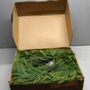 Fovths 1 Pack 12 Feet Christmas Norfolk Garlands Set Green Artificial Winter Pine Garlands Light String Faux Greenery Garland Pine Garland for Xmas Holiday Home Indoor Decor, Green