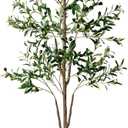 Olive Tree, 6FT Tall Faux Olive Tree with Moss and Planter, Olive Trees Artificial Indoor with Realistic Wood Trunk and Lifelike Fruits, Fake Olive Tree for Home Office Living Room Decor