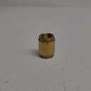 EZ-FLO Brass In-Line Check Valve, 1 Inch IPS, Stainless Steel Spring, 20405LF