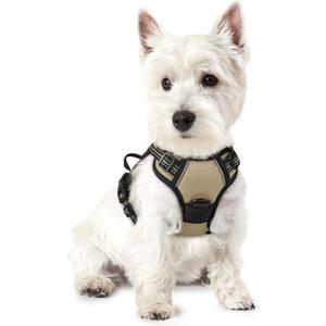rabbitgoo Dog Harness No Pull with 2 Leash Clips, Adjustable Soft Padded, Reflective Oxford No Choke Pet Vest with Easy Control Handle for Puppy, Beige, XS