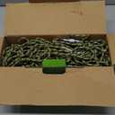 Dog Tie Out Cable for Camping - 100ft Dog Lead Dog Runner for Yard - Portable Trolley System for Large Small Dogs Outside (Olive)