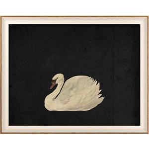 VIYYIEA Framed Wall Art for Living Room, Swan Art Canvas Prints, Vintage Home Decor, Animals Painting Picture, Bathroom Wall Decor Gifts for Friends or Family - 20L x 16W