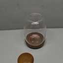 Exclusive Glass Terrarium, Beautifully Enhanced by a Natural Wood lid and Base. Excellent for Plants and Decoration, for Home or Office: Size: 8.7" Tall (22 cm) by 6.3" Wide (16 cm)