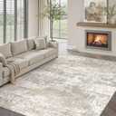 Modern Abstract Beige Gray Area Rug 9x12 Machine Washable Large Carpet Neutral Kitchen Indoor Accent Throw Low Pile Non Slip Distressed Living Dining Room Bedroom Office