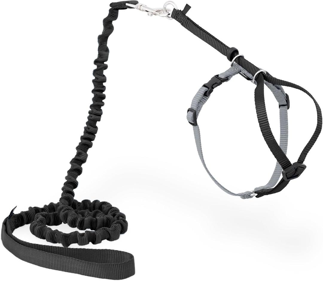 PetSafe Come with Me Kitty Harness and Bungee Leash Adjustable, Lightweight Harness for Cats Small, Black