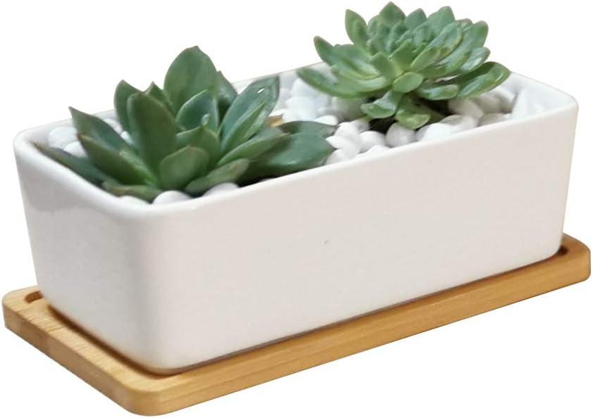 LANKER 6.5 Inch Rectangle White Ceramic Succulent Planter Pot Decorative Cactus Plant Pot Flower Container with Bamboo Tray (Rectangle 6.5 Inch)