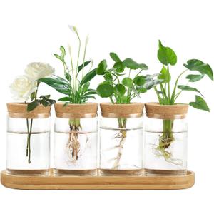 Dahey Plant Propagation Terrarium Desktop Glass Planter Station Water Planting Glass Vase with Lid and Wooden Stand for Propagating Hydroponic Plants Centerpiece Office Home Garden Decor, 4 Pcs (Large)