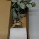 Fake Eucalyptus Stems in Vase with Faux Water,Artificial Plants Eucalyptus Leaves for Shelf Desk Bathroom Farmhouse Room Coffee Table Faux Greenery Plants Decorations (Green)