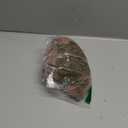 Muslin Nursing Cover Up for Breastfeeding - Breast Feeding Covers for Women | Breathable 100% Muslin Cotton Breastfeeding Cover with Arch-line and Adjustable Straps | Breastfeeding Essentials (Brown)