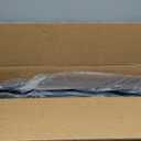 CreekT for Chevy Silverado for GMC Sierra Floor Mats 2019-2025 2026 (Crew Cab Only, Fit with Rear Under-Seat Storage), All Weather Floor Mats for 1500/2500HD/3500HD Bucket Seating Accessories