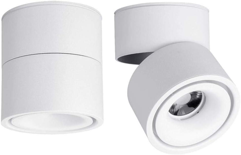 LED Ceiling Spotlight-Indoor 360Adjustable Surface Mounted 10W COB Ceiling Downlight-Wall Lamp for Picture Background Wall Display Lighting(White,3000K Warm Light)