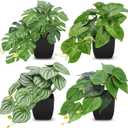 Der Rose 4Pcs Small Fake Plants Black Artificial Mini Faux Plants for Bathroom Office Desk Shelf Table Accessories Decor Indoor, Black