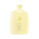 Oribe Hair Alchemy Resilience Shampoo