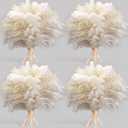 40PCS White Pampas Grass for Home Decor - Elegant Boho Decor - Premium Quality Pampas Grass Stems - Perfect for House, Nursery, Western, Wedding, Table, and Bohemian Decor
