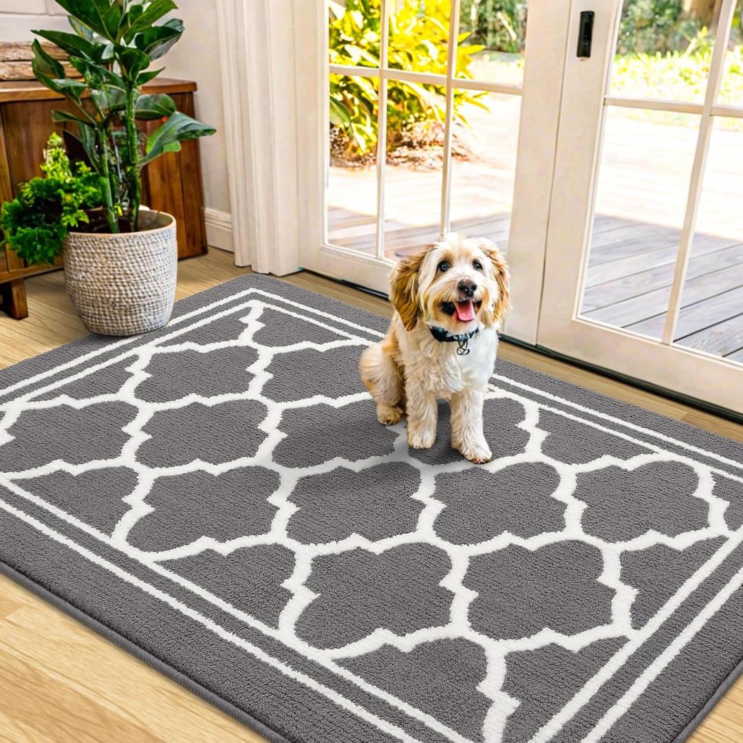 Buganda Indoor Door Mat, Dirt-Resistant and Absorbent Doormat, Anti-Slip, Low Profile Floor Mats for Inside Entryway, Front, and Back Door Entrance (40x32 Inches, Grey)