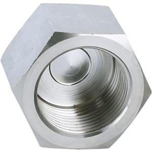 Pysrych Stainless Steel 304 Forged Pipe Fitting, Hex End Cap, 3/4" NPT Female, Class 3000 (Pack of 1)