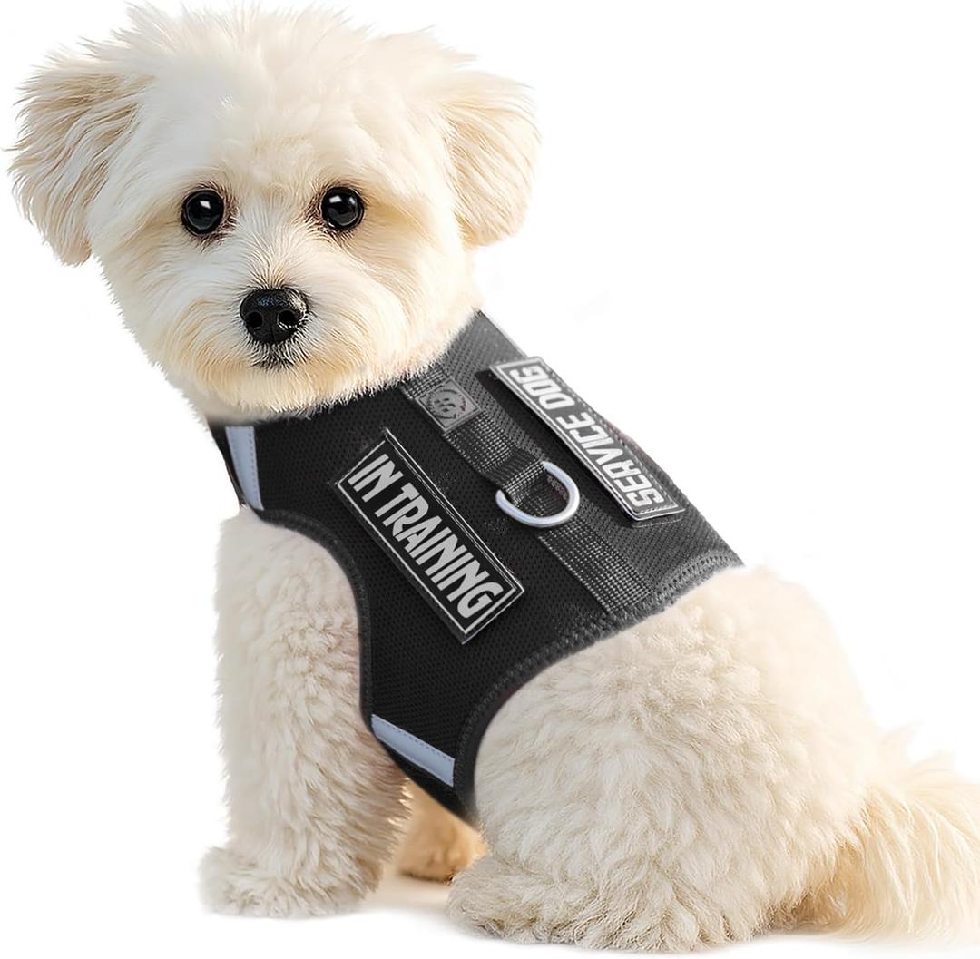Dog Harness for Puppy Adjustable Reflective Easy Put On Soft Mesh Vest for Small Dogs with 2 Patches (Black, XXXS, Neck:6.2-7.8",Chest:8.2-10.1"))