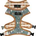 Lucy & Co. Cute Reversible Dog Harness Walking Halter - Best Designer Pet Harnesses for XS - XL Dogs - Padded Adjustable Vest for Easy Walking (Medium, Ballet Bows - White & Pink Bows)