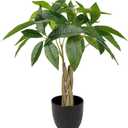 16 Inch Fake Money Tree - Indoor Potted Artificial Pachira Money Tree - Small Faux Plant in Black Pot - Good Luck & Fortune Plant for Home Office Decor