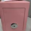 Small Safe Box for Home,Wall Safes 0.23 Cubic Feet, Heavy Duty Steel Safety Lock Box with 3 Keys for Money, Passort, Jewelry 9.06"x 6.69"x 6.69" Pink
