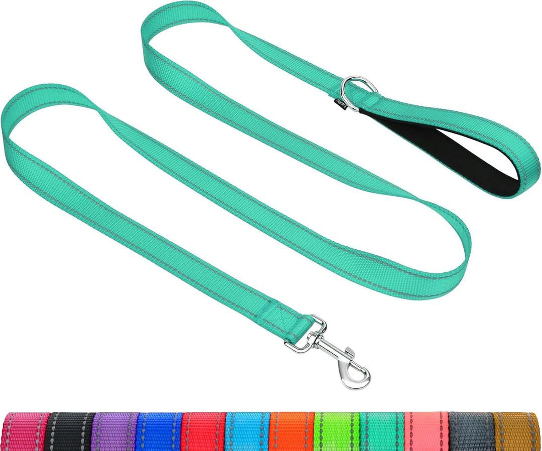 Taglory Dog Leash for Medium Large Dogs, Double-Sided Reflective Leash with Soft Neoprene Padded Handle, 1 inch by 6 ft, Fit Medium Large Breeds 20-150 lbs, Turquoise