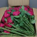 150 Pcs Roses Artificial Flowers, Silk Hot Pink Artificial Flowers Petals Long Stem Roses for Wedding Bouquet Home Party Decor