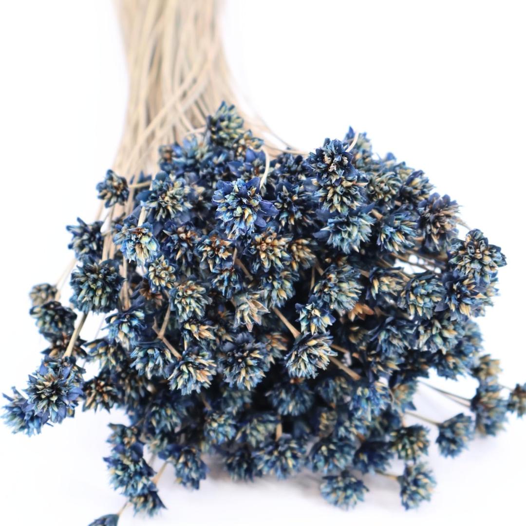 Quality Growers Natural Dried Purple Hill Flowers, 21" Long